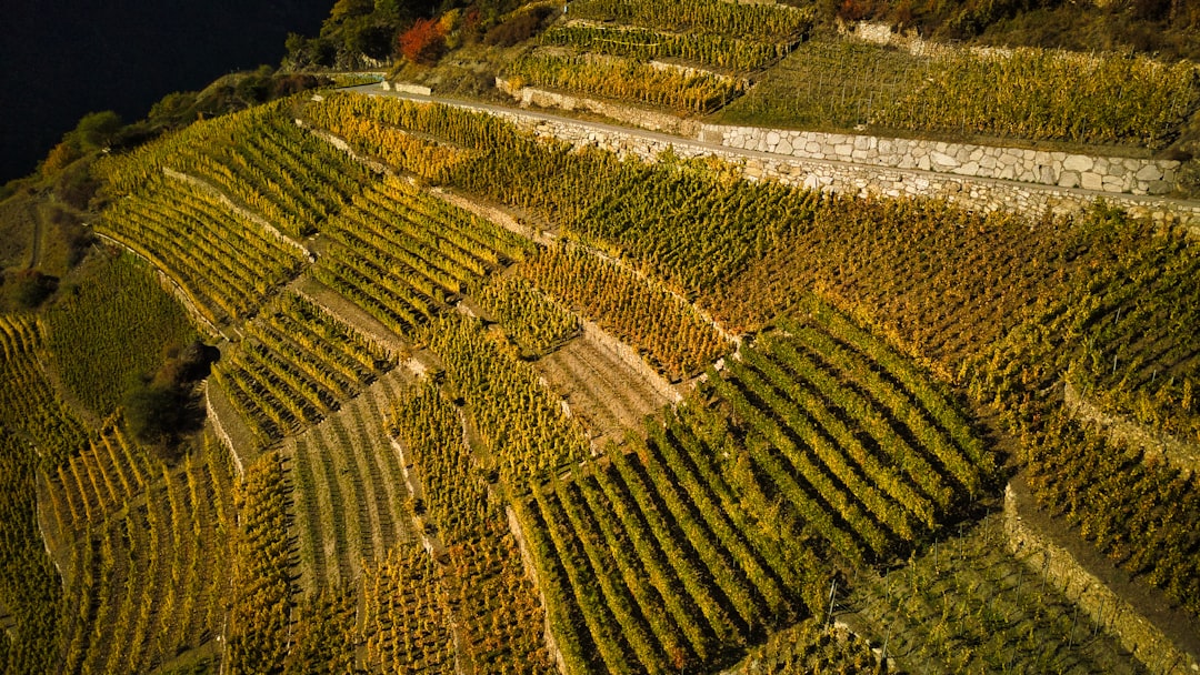 Landwirtschaftliche Flächen für Precision Farming und Agrardrohnen