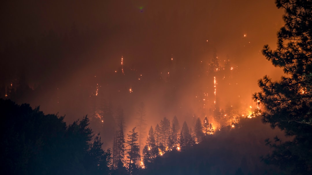 Waldbrandlage für Feuerwehr- und Wärmebildeinsätze
